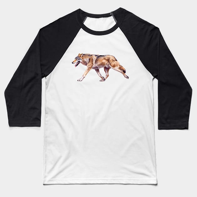 Grey Wolf Baseball T-Shirt by kokayart